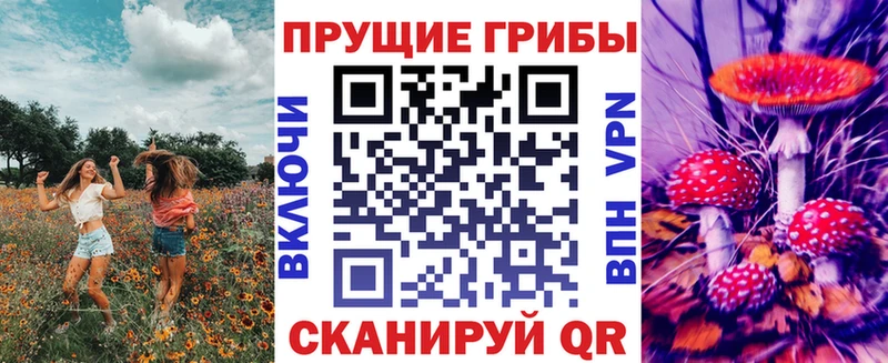 Псилоцибиновые грибы Cubensis  Подольск 