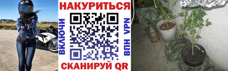 Бошки марихуана MAZAR  продажа наркотиков  Подольск 